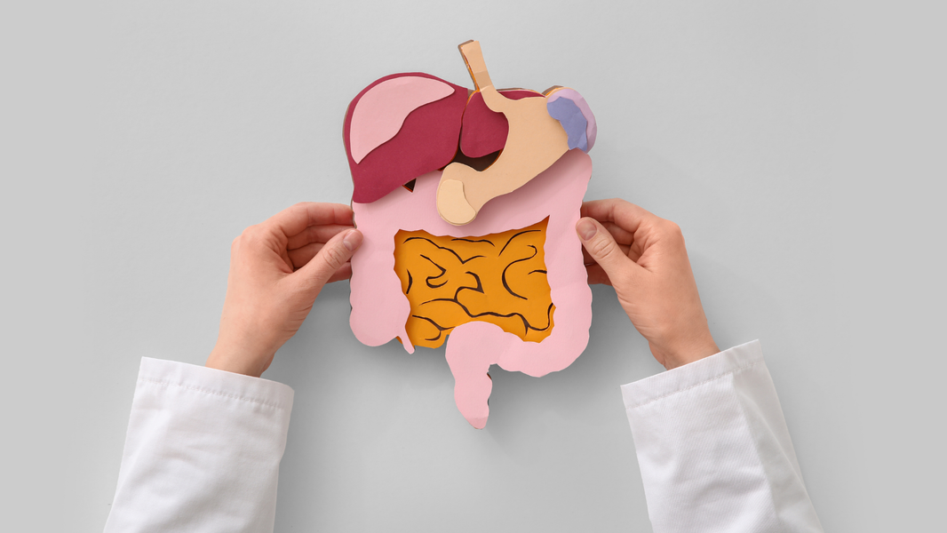 Why Most Probiotics Fail (...and why ours doesn't)