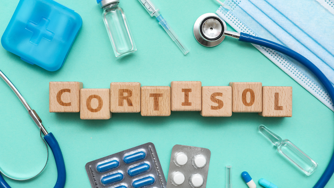 IBS and Cortisol: What Stress Is Really Doing to Your Gut